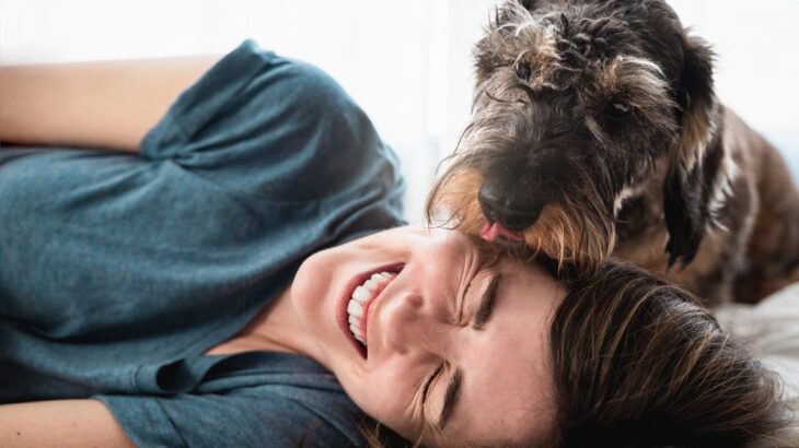 犬が飼い主を『ペロペロ舐める』心理4選　舐めてくる場所やシチュエーションごとの理由まで解説(ブログ)