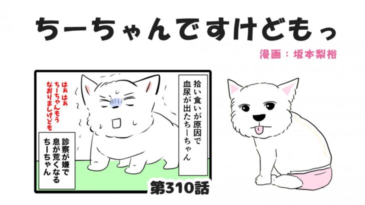 ちーちゃんですけどもっ【第310話】「ちーちゃんがお腹をくだした話し②」(ブログ)