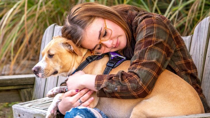 犬が本当は嫌がっている『スキンシップ』４選　続けていると愛犬に嫌われてしまう可能性も(ブログ)
