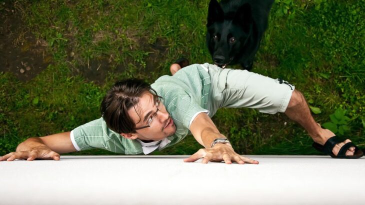 『犬に追いかけられる夢』を見たときの心理5選　夢占いの暗示をシチュエーション別に解説(ブログ)