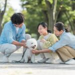 『好かれがちな犬』がよくみせる6つの行動　愛犬が社交的に育つためのポイントとは(ブログ)