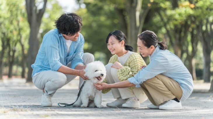 『好かれがちな犬』がよくみせる6つの行動　愛犬が社交的に育つためのポイントとは(ブログ)