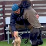 16日ぶりにお父さんが出張から帰宅→2匹の犬にサプライズをした結果…疲れも吹き飛ぶ『微笑ましい光景』が7万再生「最高」「泣ける」の声(ブログ)
