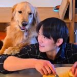 想像以上の名アシスタント…！大型犬に指示を出したら→まさかの『料理を手伝ってくれる光景』が10万再生「お利口すぎ」「幸せな時間」(ブログ)