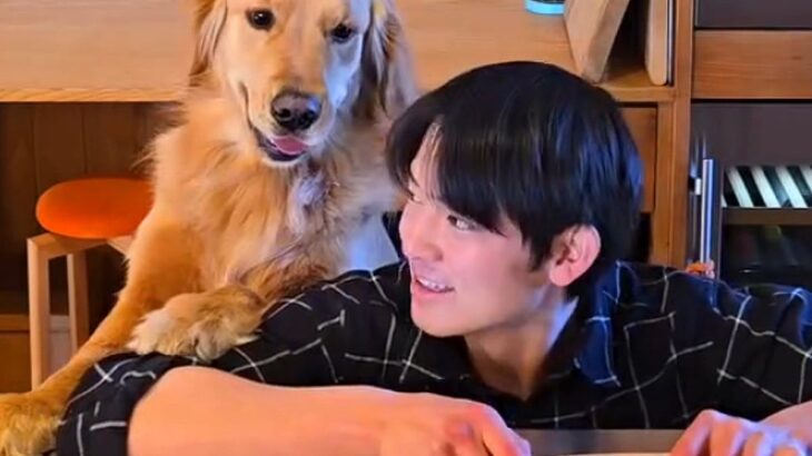 想像以上の名アシスタント…！大型犬に指示を出したら→まさかの『料理を手伝ってくれる光景』が10万再生「お利口すぎ」「幸せな時間」(ブログ)