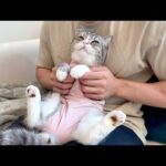 もち、大好きだよ。(YouTube)