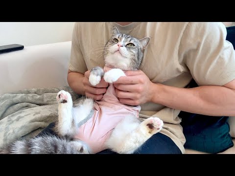 もち、大好きだよ。(YouTube)