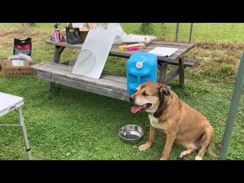 取り急ぎのご連絡です(YouTube)