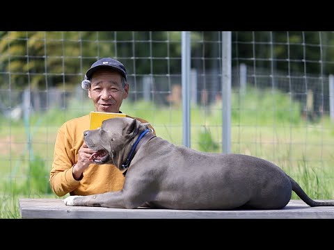 全国の保護犬達をみんなで力を合わせて助けよう！(YouTube)