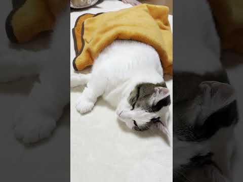 UFOキャッチャーの足が少し短い景品(YouTube)