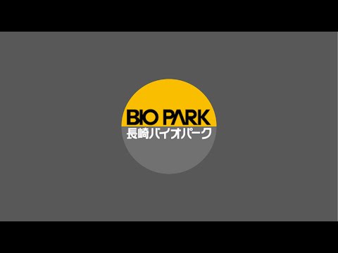 銀座ロフトで出店中🛍️って伝えなきゃライブ(YouTube)