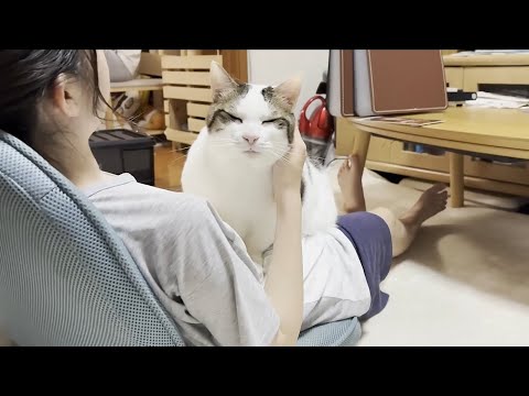 家族みんなに取り合いされて、とても気分が良い猫(YouTube)