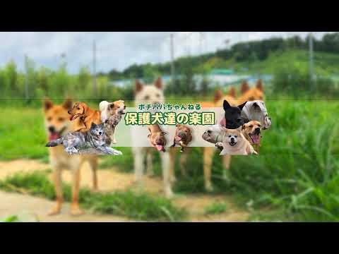 30分ほどライブのテストにご協力お願いします　10時20分ぐらいから配信(YouTube)