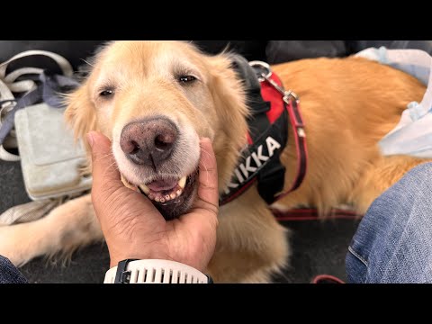 つらいお知らせをしなくてはならないです。(YouTube)