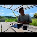 マイミーティング(YouTube)