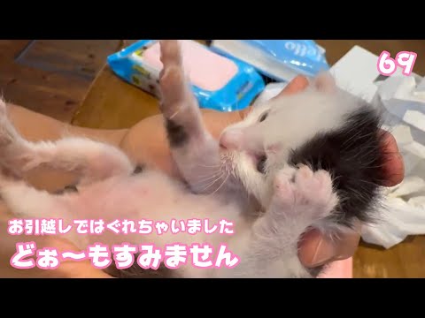 どぉ～もすみません  お引越しではぐれちゃいました  ムック Day18  2025 05 06 2(YouTube)