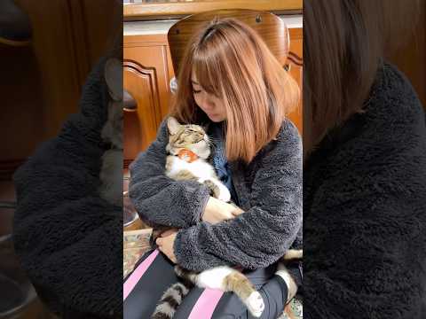 ママのキスは順番待ち #shorts(YouTube)