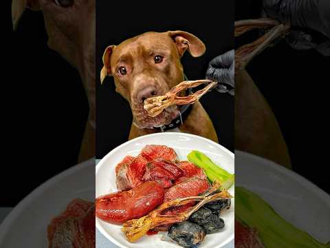 カエルのジャーキーをうまそうに食べる咀嚼音 #咀嚼音(YouTube)