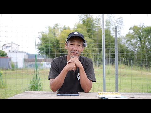 【犬の問題行動】視聴者様からの質問に答えます(YouTube)