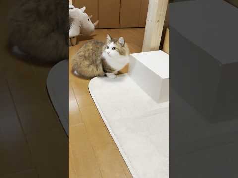 あれ？引き出し消えた(YouTube)