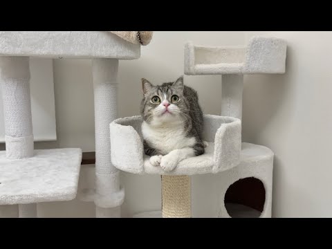お久しぶりです。(YouTube)