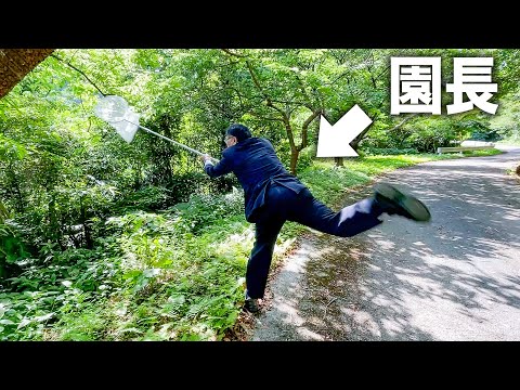 出張先でスーツを着ていても全力で虫取りをするうちの園長【沖縄】(YouTube)