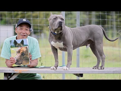 毎回感動してます！(YouTube)