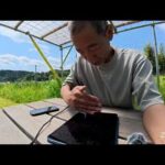 マイミーティング(YouTube)