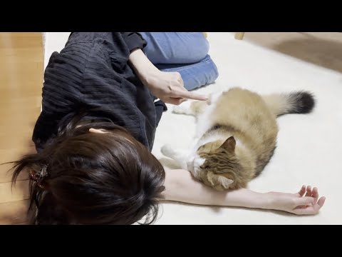 「あっち向いてゴロンして」お母さんの言うとおりに添い寝してあげる猫(YouTube)