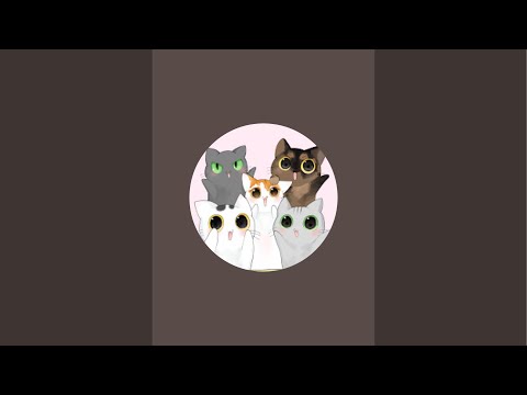 5/15 お昼のゲリラ配信🐱(YouTube)