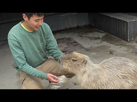 長崎バイオパーク公式 がライブ配信中！(YouTube)