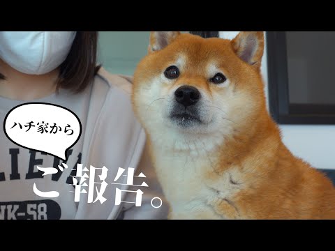 皆様に大切なご報告です。(YouTube)