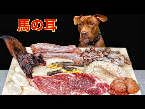 犬のASMR!!骨付き肉を豪快に噛み砕く咀嚼音が気持ち良すぎる(YouTube)