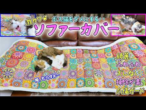 猫達の爪傷対策で海外から超綺麗なボヘミアンソファーカバーを取り寄せたら、誇り高きボス猫が○○○に目覚めてしまいました‥(YouTube)