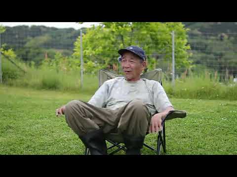 再接続(YouTube)