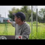 【ライブ】柴犬エガちゃんと密会(YouTube)