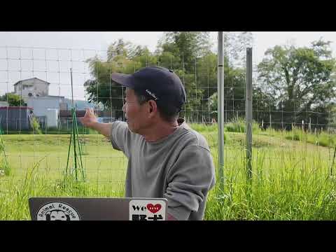 【ライブ】柴犬エガちゃんと密会(YouTube)