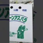アスパラ頂きました！ありがとうございます(YouTube)