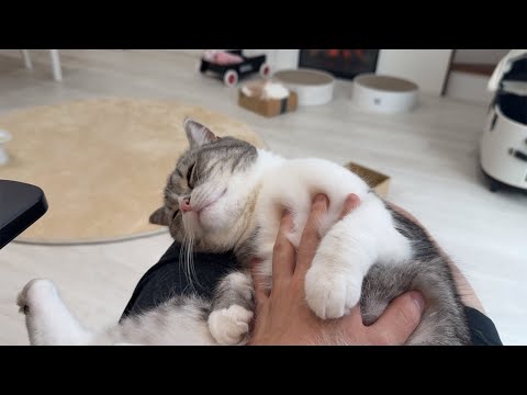甘えんぼ大爆発中の可愛いもっちん！(YouTube)