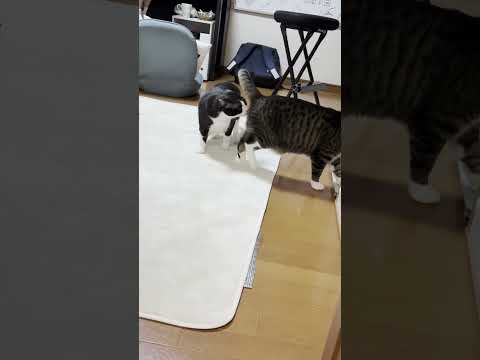 酸素、酸素、酸素がほしい(YouTube)
