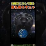 地球回してくれてありがとな😂【猫】 #猫 #cat(YouTube)