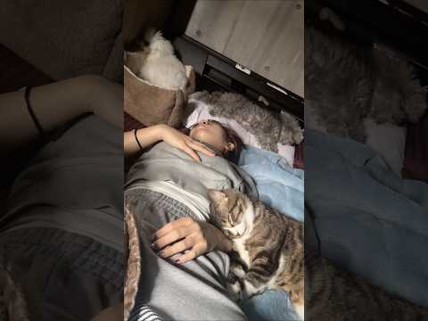 動物達が誰も起きてこないって事ある…！？ #shorts(YouTube)
