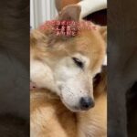認知症を疑ってたけど…(YouTube)