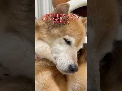 認知症を疑ってたけど…(YouTube)