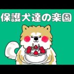 【ライブ】愛護活動を伝えた犬 秋田犬大吉　15時30分〜(YouTube)