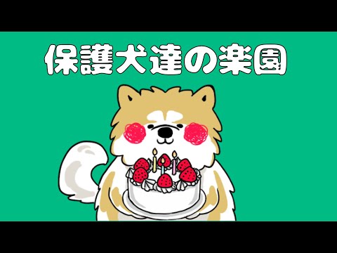 【ライブ】愛護活動を伝えた犬 秋田犬大吉　15時30分〜(YouTube)
