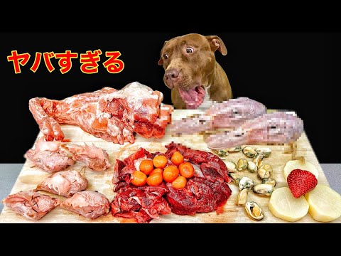 ピットブルが食べてるだけなのに…音がエグいくらい気持ちいい(YouTube)