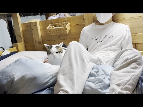 息子が寝るまで寄り添ってあげる猫(YouTube)