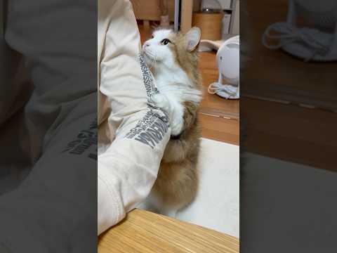 なぁなぁ見て〜立ってんねん(YouTube)