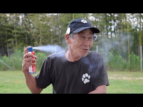 【御礼】しつけ大全累計2万部発行ありがとうございます！(YouTube)